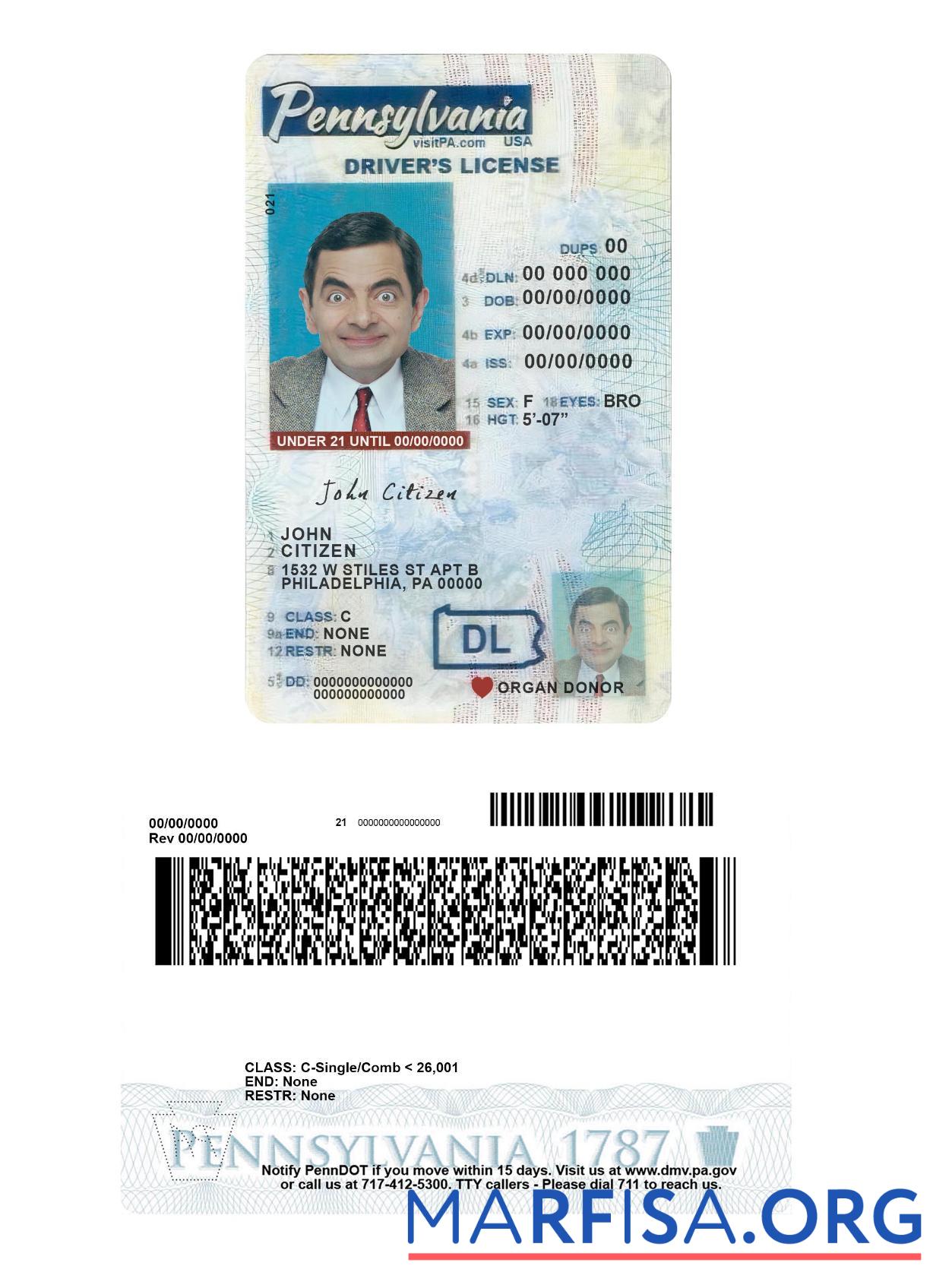 Downloadable USA Pennsylvania driving license under 21 real example